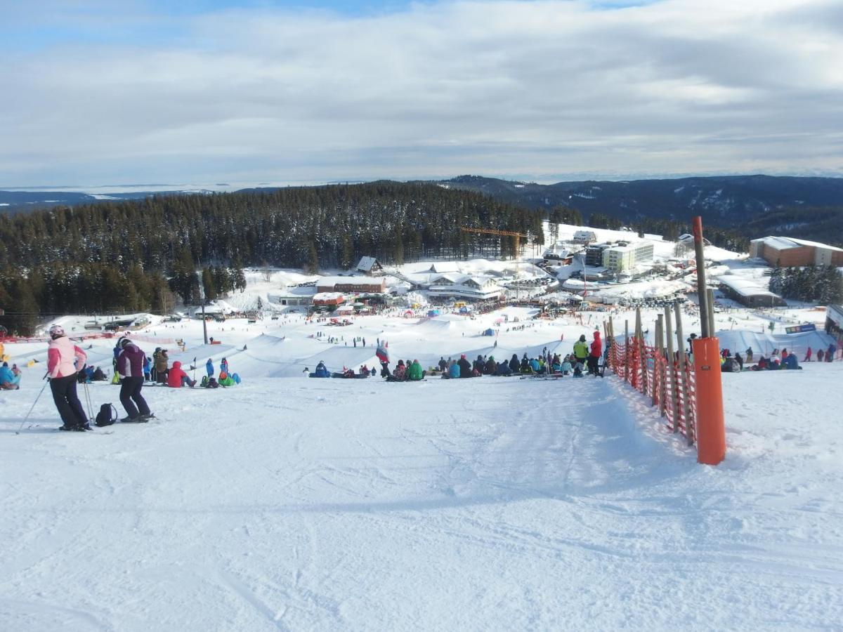 Enjoy Ferienwohnung Feldberg Grafenmatt Exterior photo